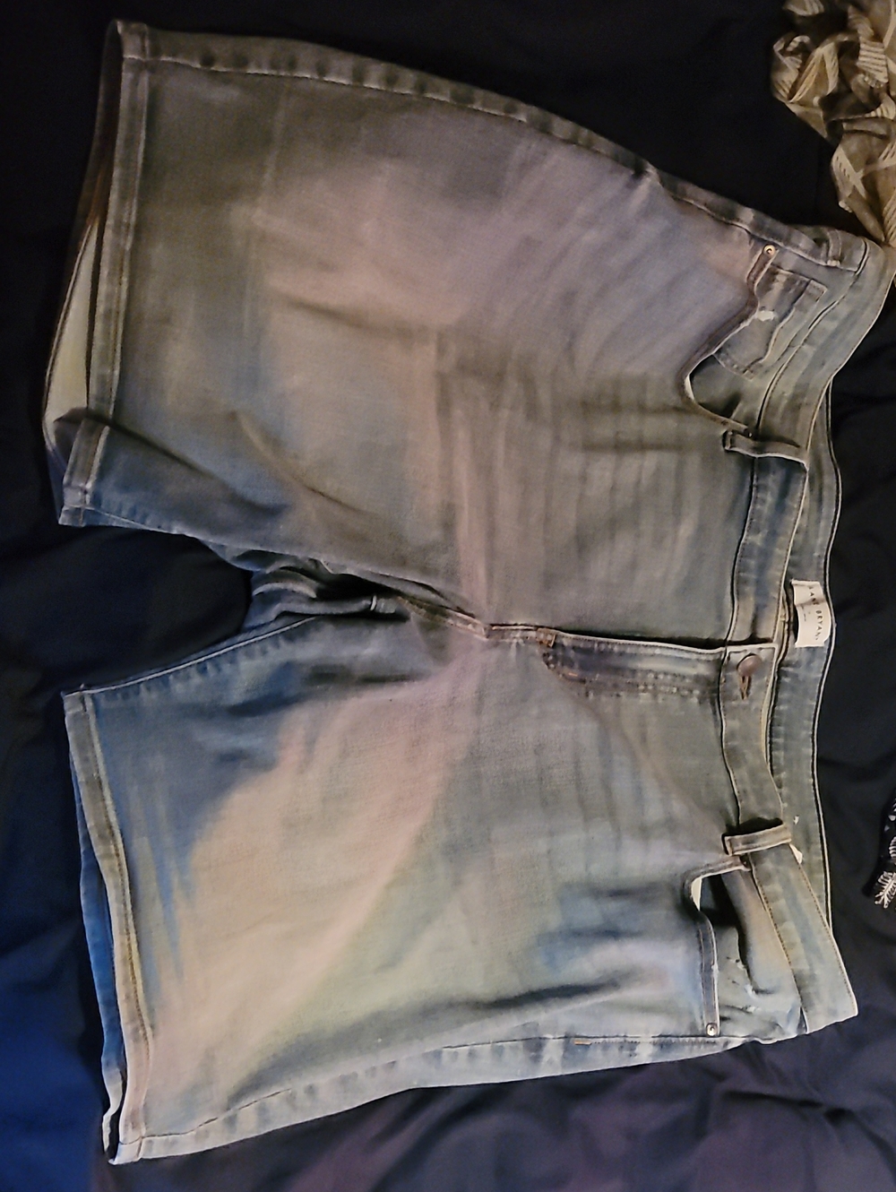 Lane Bryant Blue Jean Shorts